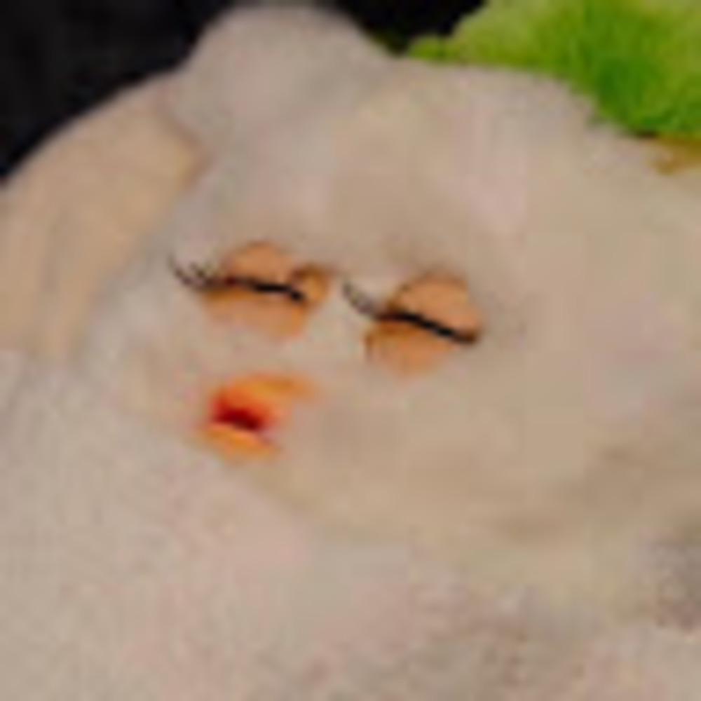 Meet your Posher, Christian